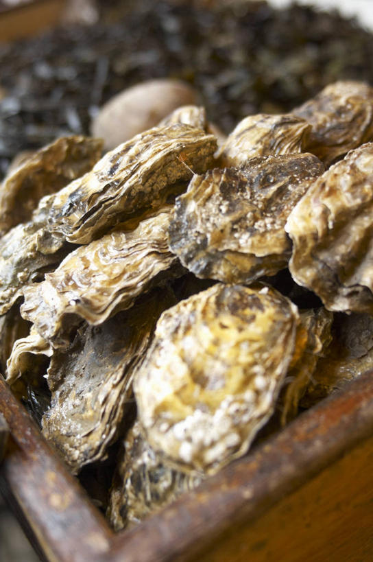 海鲜,无人,竖图,俯视,室内,特写,白天,一堆,许多,阴影,堆叠,堆积,反射,木制,木盒,影子,牡蛎,很多,水产,海洋生物,一个,木制品,容器,单个,储藏,堆,生蚝,储存,水生动物,海产品,水生物,海底动物,彩图,高角度拍摄,贮存