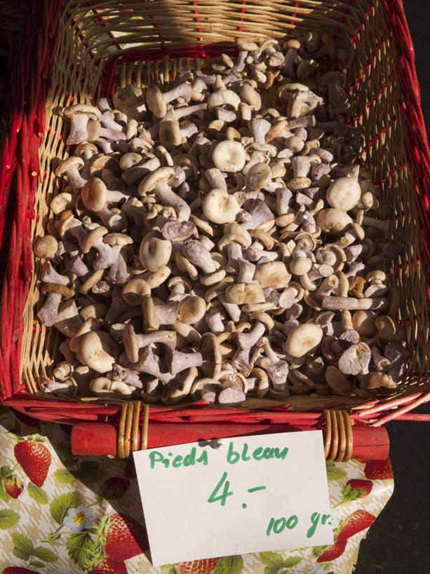 无人,菜场,交叉,竖图,俯视,室外,特写,白天,购物,消费,竹子,蔬菜,一堆,许多,堆叠,堆积,竹制,新鲜,编织,英文,标签,标志,篮子,数字,文字,字符,菌菇,蘑菇,食品,集市,市场,很多,菌类,标识,食物,竹篮,食用菌,金融,阿拉伯数字,有机食品,绿色食品,竹条,堆,英文字母,交织,竹制品,选购,贸易,穿插,菜市,彩图,高角度拍摄,菜市场