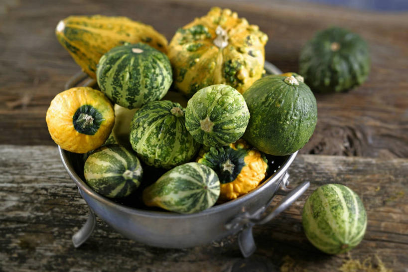 无人,横图,俯视,室内,特写,白天,桌面,桌子,南瓜,蔬菜,金属制品,一堆,许多,阴影,堆叠,堆积,新鲜,反射,金属,木制,影子,金瓜,食品,很多,番瓜,食物,一个,黄色,绿色,木制品,容器,碗,有机食品,绿色食品,单个,储藏,堆,麦瓜,倭瓜,储存,彩图,高角度拍摄,贮存