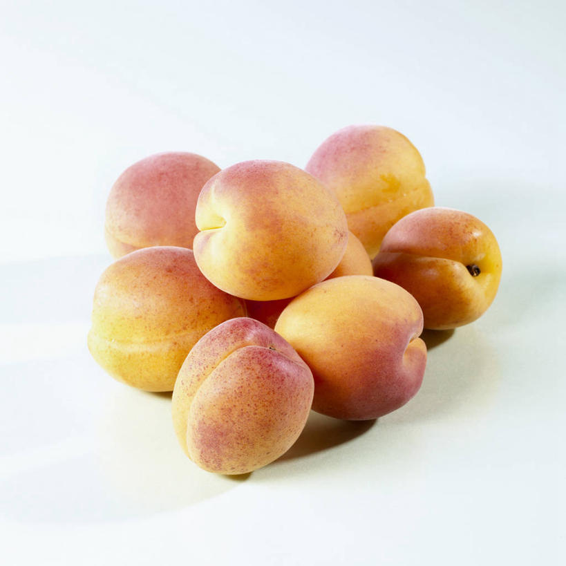 无人,方图,俯视,室内,特写,白天,白色背景,桌面,桌子,杏,餐具,水果,一堆,许多,阴影,堆叠,堆积,新鲜,反射,木制,碟子,盘,影子,生食,食品,果实,很多,食物,一个,盘子,木制品,碟,摄影,有机食品,绿色食品,影棚,单个,堆,杏果,杏子,彩图,高角度拍摄,影棚拍摄,拍摄