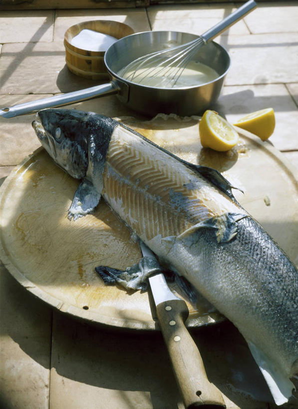 三文鱼,无人,竖图,俯视,室内,特写,白天,烹饪,桌面,桌子,鲑鱼,柠檬,厨具,水果,金属制品,阴影,新鲜,反射,金属,影子,大理石,生食,食品,冰激凌,果实,案板,清凉,砧板,食物,容器,打蛋器,搅拌器,碗,冷饮,舒服,冰淇淋,有机食品,绿色食品,储藏,大马哈鱼,解暑,储存,解渴,雪糕,烹饪用具,舒爽,撒蒙鱼,萨门鱼,冰海之皇,鲑,马哈鱼,麻哈鱼,大麻哈鱼,冰糕,消暑,大理石制品,手动打蛋器,烹调用具,益母果,柠果,烹调,彩图,高角度拍摄,香草冰淇淋,贮存