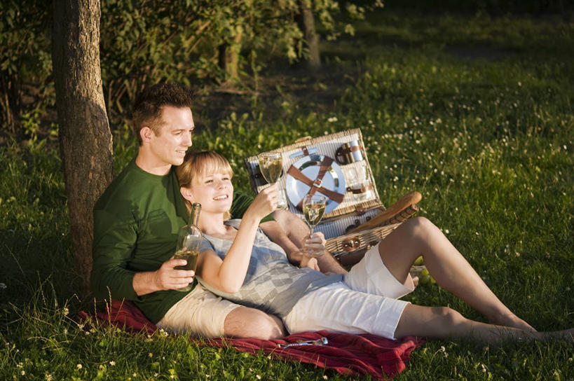 红酒,葡萄酒,西方人,两个人,坐,笑,微笑,露齿笑,横图,室外,白天,侧面,爱情,草地,草坪,植物,杯子,欧洲,欧洲人,握,服装,高脚杯,篮子,坐垫,红酒杯,白葡萄酒,酒类,浪漫,拿,拿着,依偎,注视,休闲装,玻璃制品,酒,草,树,树木,饮料,衣服,绿色,自然,酒杯,观察,看,靠,靠着,倚靠,休闲,温暖,温馨,休闲服,恩爱,握着,恋人,服饰,生长,成长,观看,和睦,察看,倚着,葡萄酒杯,关注,依附,依赖,投靠,野餐垫,野餐地毯,多功能毯,食物篮,男人,男性,年轻男性,年轻女性,女人,女性,白种人,情侣,玻璃杯,坐着,彩图,全身,伴侣,融洽,野餐篮