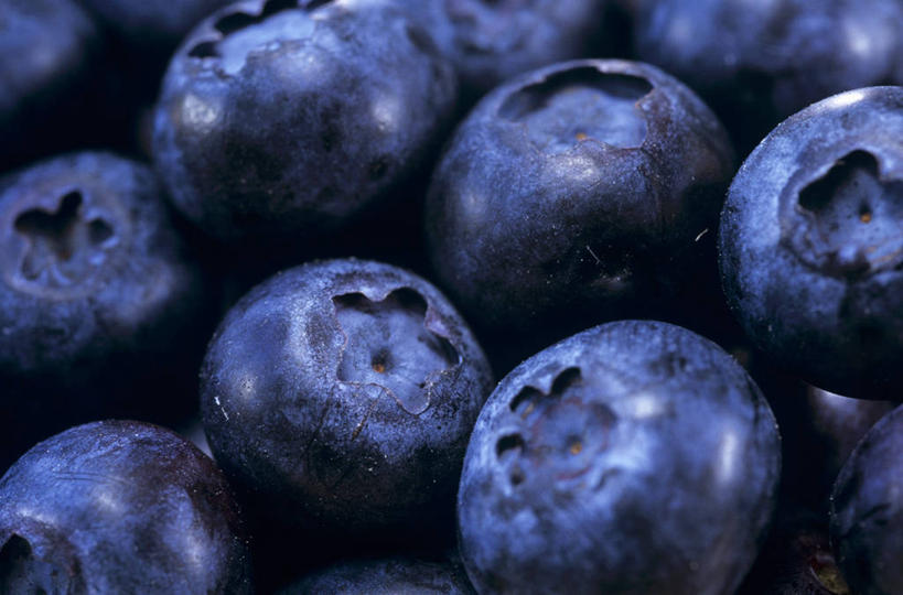 无人,横图,俯视,室内,特写,白天,浆果,蓝莓,水果,一堆,许多,堆叠,堆积,朦胧,模糊,新鲜,生食,食品,果实,很多,食物,蓝色,有机食品,绿色食品,堆,山都柿,蓝浆果,蓝靛果,彩图,高角度拍摄
