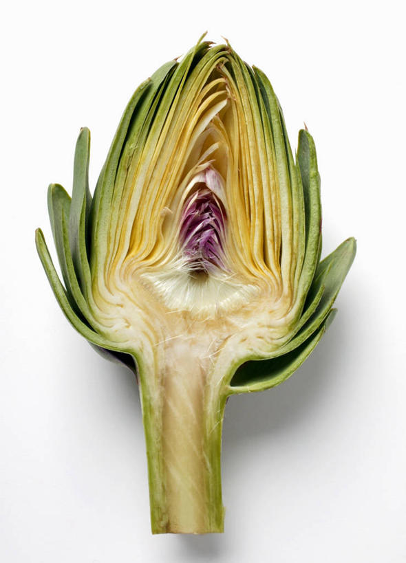 无人,竖图,俯视,室内,特写,白天,白色背景,桌面,桌子,蔬菜,切开,阴影,新鲜,反射,木制,影子,朝鲜蓟,食品,半个,食物,绿色,木制品,切,一半,洋蓟,摄影,有机食品,绿色食品,影棚,横截面,剖面,切面,截面,截面图形,彩图,高角度拍摄,影棚拍摄,拍摄,菜蓟,法国百合,球洋蓟,蔬菜之皇,洋百合