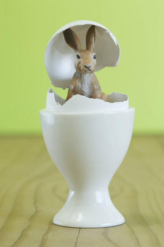 无人,竖图,室内,特写,白天,正面,桌面,桌子,哺乳动物,雕塑,复活节,绿色背景,阴影,节日,庆祝,艺术,装饰,反射,木制,兔子,雕刻,雕像,影子,蛋,文化,一个,动物,木制品,容器,工艺品,庆典,摄影,影棚,单个,纪念,储藏,兔,美术,蛋杯,储存,主题,彩蛋,陈列,复活节彩蛋,功能,美学,盛蛋器,彩图,影棚拍摄,拍摄,贮存