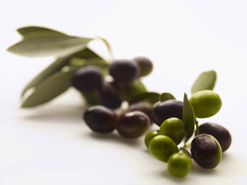 无人,横图,俯视,室内,特写,白天,白色背景,植物,桌面,桌子,橄榄,水果,叶子,阴影,朦胧,模糊,新鲜,反射,木制,纹理,影子,生食,食品,果实,绿叶,食物,绿色,黑色,木制品,嫩叶,摄影,有机食品,绿色食品,影棚,黑橄榄,乌橄榄,乌榄,肌理,油橄榄,叶,叶片,叶脉,青果,白榄,彩图,高角度拍摄,影棚拍摄,拍摄