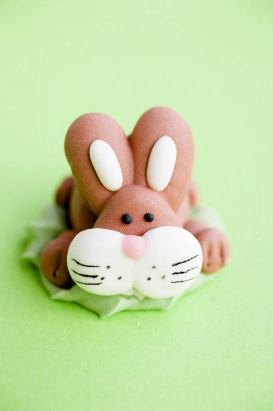 无人,竖图,俯视,室内,特写,白天,桌面,桌子,哺乳动物,雕塑,复活节,绿色背景,阴影,节日,庆祝,艺术,装饰,反射,木制,兔子,雕刻,雕像,影子,食品,糖,糖果,甜点,甜品,文化,食物,动物,木制品,工艺品,甜食,巧克力,庆典,摄影,影棚,纪念,朱古力,黑巧克力,兔,美术,主题,陈列,功能,美学,彩图,高角度拍摄,影棚拍摄,拍摄