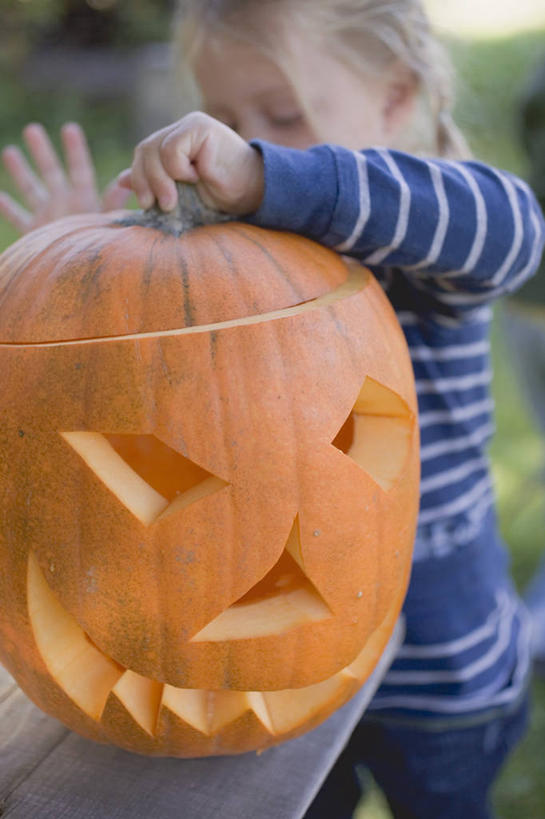 西方人,儿童,脸,头,脸颊,一个人,站,竖图,室外,白天,正面,纯洁,草地,草坪,植物,南瓜,蔬菜,照明,欧洲,欧洲人,仅一个女性,仅一个人,握,服装,节日,朦胧,模糊,庆祝,新鲜,装饰,灯光,金瓜,食品,拿,拿着,注视,休闲装,文化,镂空,番瓜,灯,草,树,树木,食物,小孩,衣服,绿色,自然,灯具,观察,看,站着,仅一个小孩,庆典,休闲,休闲服,南瓜灯,万圣节,可爱,童年,童趣,握着,服饰,有机食品,绿色食品,生长,成长,观看,纪念,华丽,修饰,麦瓜,倭瓜,照亮,点缀,察看,照明设备,关注,童真,烂漫,无邪,衬托,美观,雅致,雅观,镂刻,天真,女孩,女人,女性,白种人,孩子,头部,脸部,脸蛋,面部,站立,半身,彩图,女生