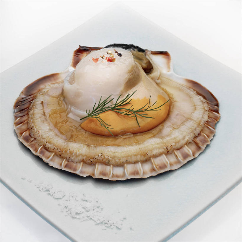 海鲜,无人,方图,俯视,室内,特写,白天,烹饪,西餐,桌面,桌子,餐具,阴影,反射,木制,碟子,盘,影子,调味,香料,佐料,料理,食品,扇贝,水产,菜肴,美食,海洋生物,食物,一个,盘子,木制品,碟,西式,佳肴,单个,海扇,迷迭香,配料,水生动物,海产品,水生物,海底动物,海洋之露,作料,彩图,高角度拍摄