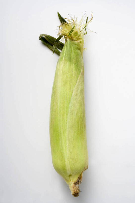无人,竖图,俯视,室内,特写,白天,白色背景,玉米,植物,桌面,桌子,蔬菜,叶子,阴影,新鲜,反射,木制,棒子,纹理,影子,玉蜀黍,食品,绿叶,食物,一个,绿色,木制品,嫩叶,摄影,有机食品,绿色食品,影棚,单个,苞米,苞芦,苞谷,肌理,包谷,大蜀黍,番麦,薏米包,玉高粱,玉麦,珍珠米,叶,叶片,叶脉,彩图,高角度拍摄,影棚拍摄,拍摄