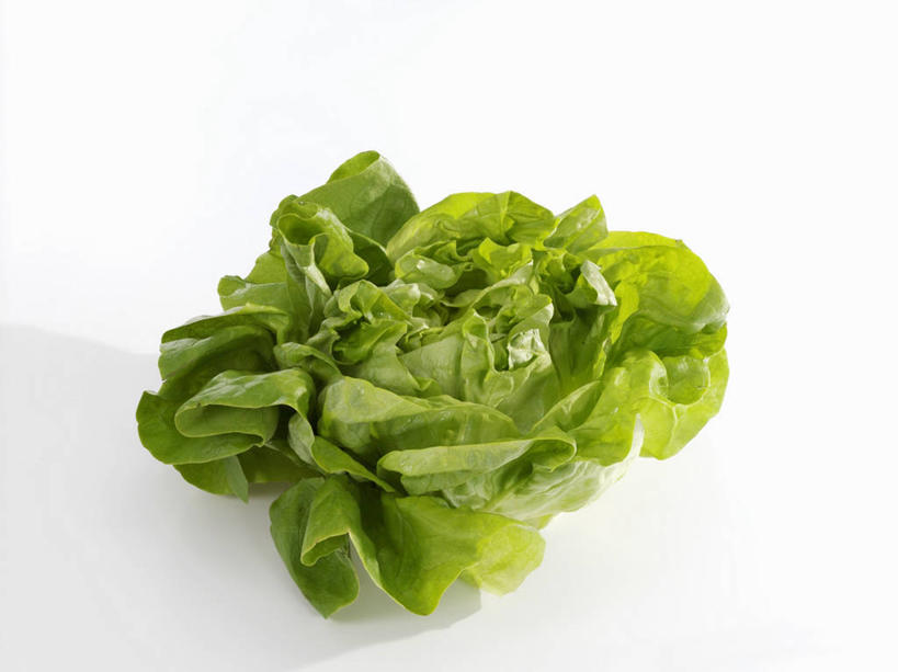 无人,横图,俯视,室内,特写,白天,白色背景,桌面,桌子,蔬菜,叶子,阴影,新鲜,反射,木制,影子,生菜,莴苣,食品,绿叶,食物,绿色,木制品,嫩叶,摄影,有机食品,绿色食品,影棚,青春,生命,和平,安详,春菜,鹅仔菜,莴仔菜,千金菜,叶用莴苣,冷色,奶油生菜,叶,叶片,彩图,高角度拍摄,影棚拍摄,拍摄