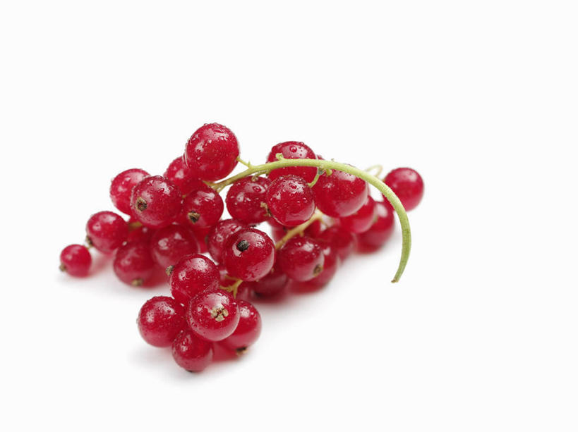 无人,横图,俯视,室内,特写,白天,白色背景,桌面,桌子,浆果,水果,阴影,新鲜,反射,木制,影子,灯笼果,生食,食品,果实,食物,红色,木制品,摄影,有机食品,绿色食品,影棚,红醋栗,醋栗,彩图,高角度拍摄,影棚拍摄,拍摄