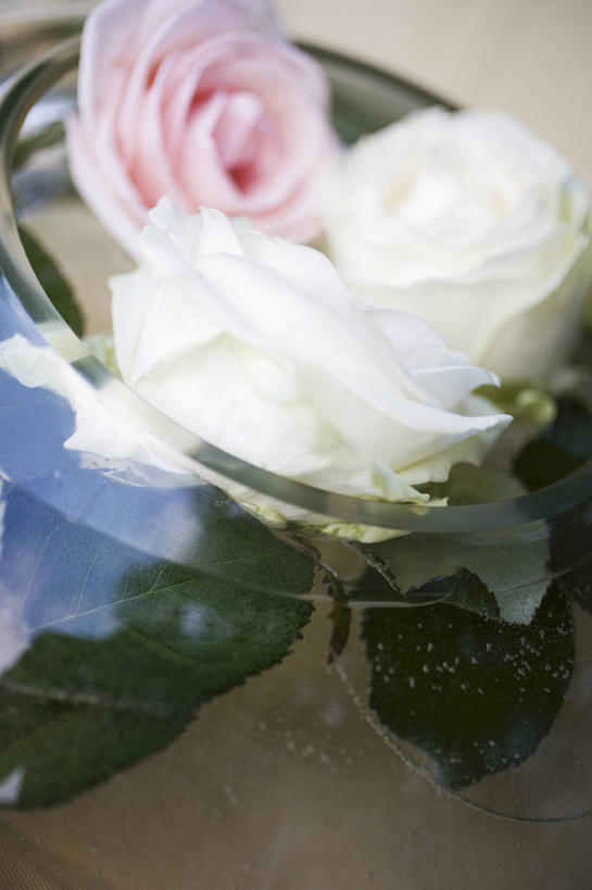 无人,竖图,俯视,室内,特写,白天,爱情,幸福,纯洁,热情,水,玫瑰,阴影,波纹,朦胧,模糊,盛开,透明,反射,液体,影子,气泡,水滴,玫瑰花,涟漪,漩涡,浪漫,花蕾,水泡,水珠,花,花瓣,花朵,鲜花,粉色,白色,水纹,泡泡,花苞,花蕊,温暖,温馨,恩爱,圆弧,和睦,感动,尊敬,天真,刺玫花,徘徊花,彩图,高角度拍摄,融洽