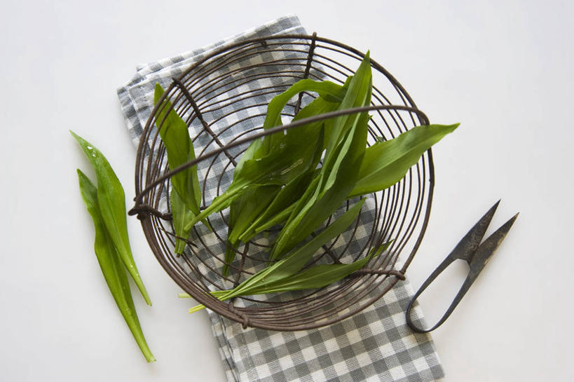 无人,横图,俯视,室内,特写,白天,白色背景,植物,桌面,桌子,叶子,金属制品,修剪,阴影,花纹,反射,金属,木制,布,工具,剪刀,篮子,图案,纹理,影子,绿叶,布纹,绿色,木制品,嫩叶,摄影,影棚,裁剪,布匹,剪子,剪裁,切割,肌理,叶,叶片,叶脉,彩图,高角度拍摄,影棚拍摄,拍摄