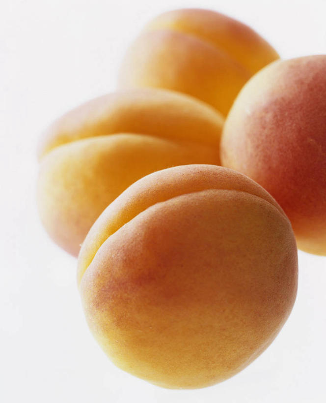 无人,竖图,俯视,室内,特写,白天,白色背景,餐桌,桌子,杏,水果,阴影,新鲜,反射,影子,生食,食品,果实,食物,四个,橙色,摄影,有机食品,绿色食品,影棚,餐台,杏果,杏子,彩图,高角度拍摄,影棚拍摄,拍摄