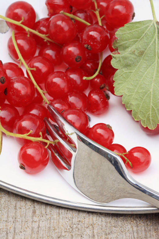 无人,竖图,俯视,室内,特写,白天,餐桌,桌子,浆果,餐具,水果,叶子,一堆,许多,阴影,堆叠,堆积,新鲜,反射,叉子,碟子,盘,影子,灯笼果,生食,食品,果实,绿叶,很多,食物,两个,红色,盘子,碟,嫩叶,有机食品,绿色食品,餐台,堆,红醋栗,餐叉,叶,叶片,进餐用具,醋栗,彩图,高角度拍摄