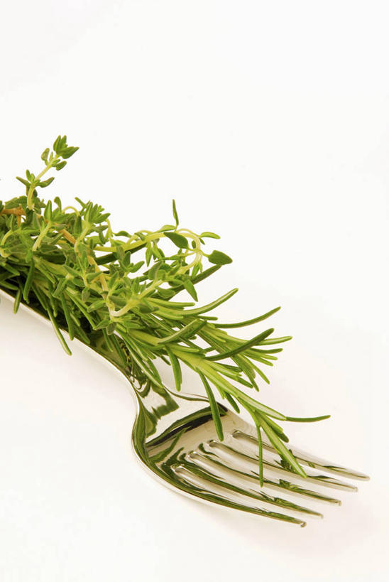 无人,竖图,俯视,室内,特写,白天,白色背景,餐桌,桌子,餐具,叶子,阴影,芳香,反射,叉子,影子,绿叶,一个,香草,嫩叶,摄影,影棚,单个,餐台,吉祥,百里香,迷迭香,麝香草,餐叉,如意,海洋之露,勇气,勇敢,地椒,自尊,不屈,平安,叶,叶片,进餐用具,彩图,高角度拍摄,影棚拍摄,拍摄