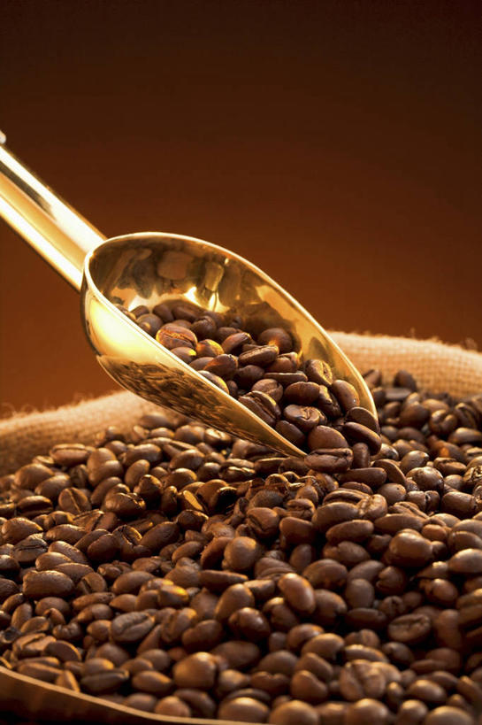 咖啡,无人,竖图,俯视,室内,特写,白天,植物,餐桌,桌子,豆,一堆,许多,阴影,堆叠,堆积,反射,影子,勺子,陶瓷,豆类,豆子,褐色,陶瓷制品,很多,两个,容器,调羹,汤匙,碗,咖啡豆,摄影,影棚,餐台,储藏,堆,储存,豆科,咖啡因,彩图,高角度拍摄,影棚拍摄,拍摄,贮存