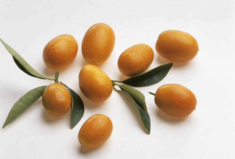 无人,横图,俯视,室内,特写,白天,白色背景,餐桌,桌子,水果,叶子,许多,阴影,新鲜,反射,影子,生食,食品,果实,绿叶,很多,食物,橙色,金橘,嫩叶,金桔,摄影,有机食品,绿色食品,影棚,餐台,金弹,金柑,金枣,洋奶桔,牛奶桔,叶,叶片,彩图,高角度拍摄,影棚拍摄,拍摄