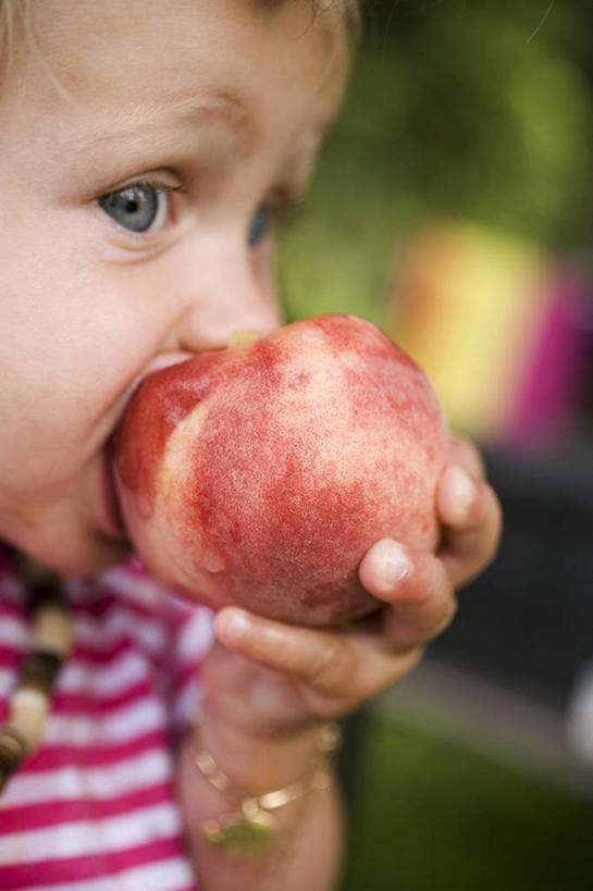 西方人,儿童,脸,头,脸颊,手,一个人,吃,竖图,室外,特写,白天,侧面,纯洁,桃子,水果,欧洲,欧洲人,仅一个男性,仅一个人,握,阴影,服装,朦胧,模糊,新鲜,光线,影子,生食,食品,果实,油桃,拿,拿着,注视,休闲装,食物,一个,小孩,衣服,红色,阳光,观察,看,仅一个小孩,休闲,手部,休闲服,可爱,童年,童趣,握着,服饰,有机食品,绿色食品,单个,观看,单手,察看,关注,童真,烂漫,无邪,肺果,李光桃,天真,男孩,男人,男性,白种人,孩子,头部,脸部,脸蛋,面部,嚼,食,半身,彩图,男生