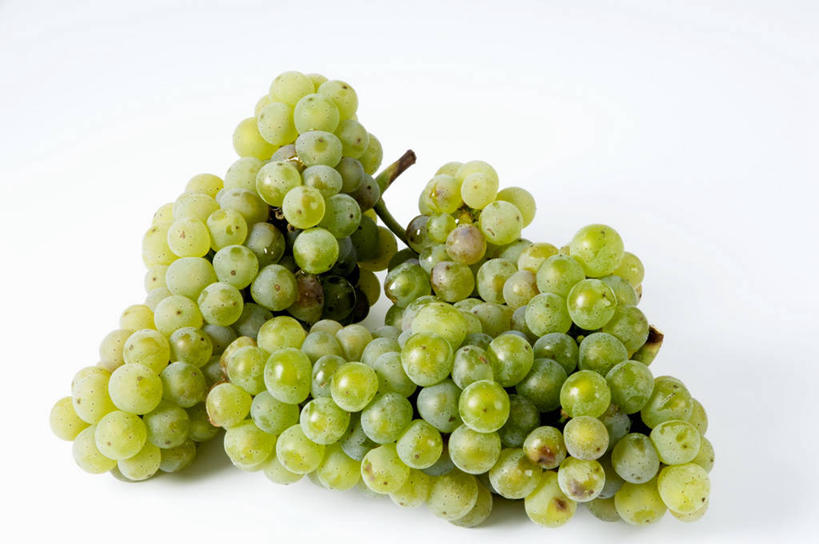 无人,横图,俯视,室内,特写,白天,白色背景,餐桌,桌子,葡萄,水果,一堆,许多,阴影,堆叠,堆积,新鲜,反射,影子,生食,食品,果实,很多,食物,绿色,摄影,有机食品,绿色食品,影棚,餐台,堆,山葫芦,蒲桃,草龙珠,彩图,高角度拍摄,影棚拍摄,拍摄