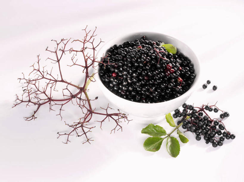 无人,横图,俯视,室内,特写,白天,白色背景,植物,餐桌,桌子,叶子,一堆,许多,阴影,堆叠,堆积,反射,影子,陶瓷,绿叶,草药,药草,枝条,陶瓷制品,很多,中药,树,树木,树枝,一个,黑色,容器,碗,嫩叶,摄影,影棚,单个,餐台,储藏,堆,储存,药材,中草药,接骨木,中药材,本草,草珊瑚,接骨金粟兰,九节茶,九节风,九节花,肿节风,竹节茶,虬枝,枝杈,叶,叶片,彩图,高角度拍摄,影棚拍摄,拍摄,贮存