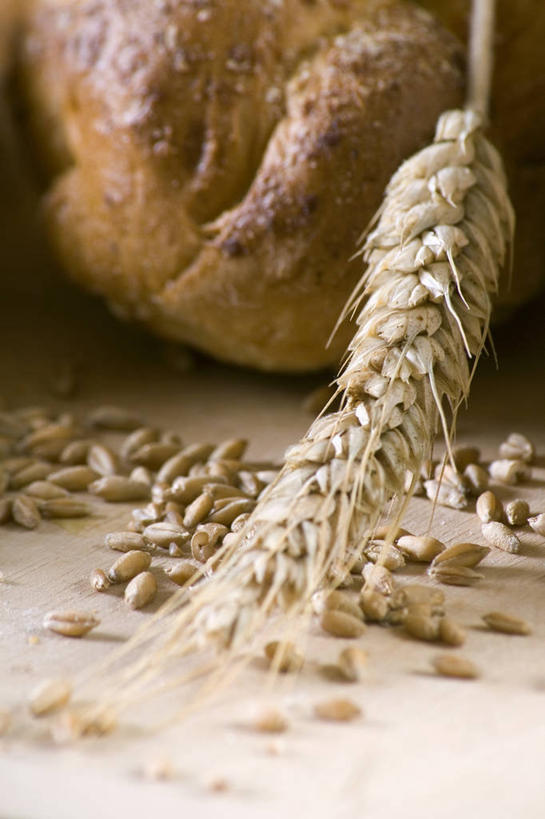 点心,面包,无人,竖图,俯视,室内,特写,白天,农作物,小麦,餐桌,桌子,阴影,反射,影子,谷物,食品,面点,食物,糕点,麦子,餐台,彩图,高角度拍摄