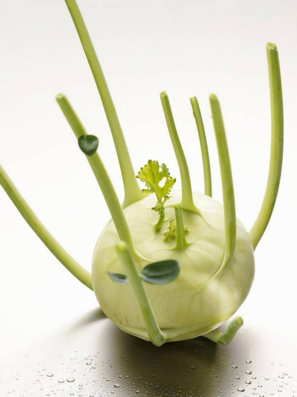 无人,竖图,俯视,室内,特写,白天,餐桌,桌子,蔬菜,叶子,阴影,新鲜,反射,影子,食品,绿叶,食物,一个,绿色,嫩叶,芥菜,有机食品,绿色食品,单个,餐台,大头菜,盖菜,叶,叶片,彩图,高角度拍摄
