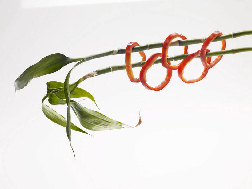 无人,横图,俯视,室内,特写,白天,白色背景,植物,餐桌,桌子,辣椒,蔬菜,叶子,切开,阴影,新鲜,反射,影子,食品,绿叶,枝条,树,树木,树枝,食物,红色,切,嫩叶,摄影,有机食品,绿色食品,影棚,餐台,剖面,彩椒,切面,辣角,红海椒,大椒,辣虎,广椒,虬枝,枝杈,叶,叶片,甜椒,柿子椒,辣子,海椒,番椒,灯笼椒,彩图,高角度拍摄,影棚拍摄,拍摄