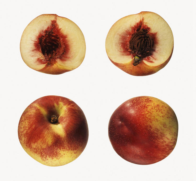 无人,横图,俯视,室内,特写,白天,白色背景,餐桌,桌子,桃子,水果,一排,切开,阴影,新鲜,整齐,并列,并排,反射,影子,生食,食品,果实,油桃,食物,排列,切,四个,摄影,有机食品,绿色食品,影棚,餐台,队列,平行,剖面,切面,肺果,李光桃,彩图,高角度拍摄,影棚拍摄,拍摄