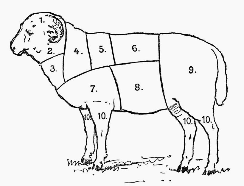 无人,站,横图,插画,室内,白天,白色背景,侧面,数码,科技,羊,阴影,网络,标志,数字,文字,字符,高光,几何,计算机图形,合成,图画,标识,画,一只,动物,站着,家畜,阿拉伯数字,牲畜,电脑合成图,数码合成图,合成图,漫画,写实,具体,具象,绵羊,站立,彩图,全身