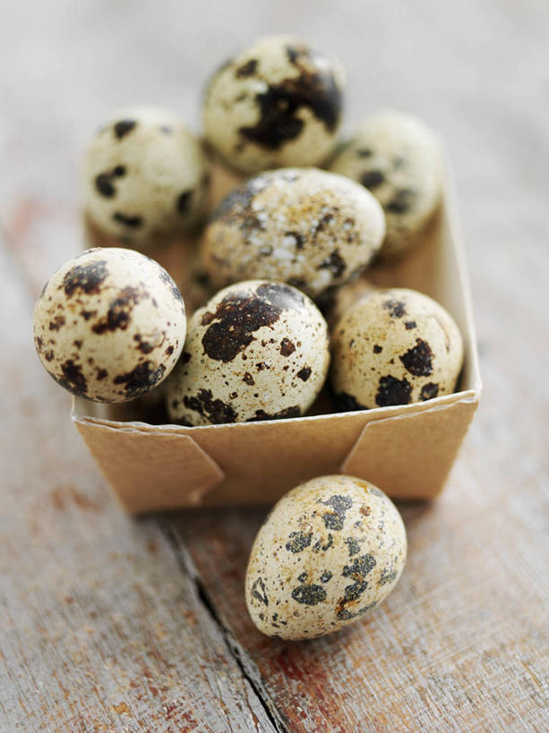 无人,竖图,俯视,室内,特写,白天,餐桌,桌子,一堆,许多,阴影,堆叠,堆积,反射,影子,纸盒,蛋,鹌鹑蛋,很多,盒子,一个,包装盒,容器,单个,餐台,储藏,堆,储存,卵,鹌鹑卵,鹑鸟蛋,彩图,高角度拍摄,贮存