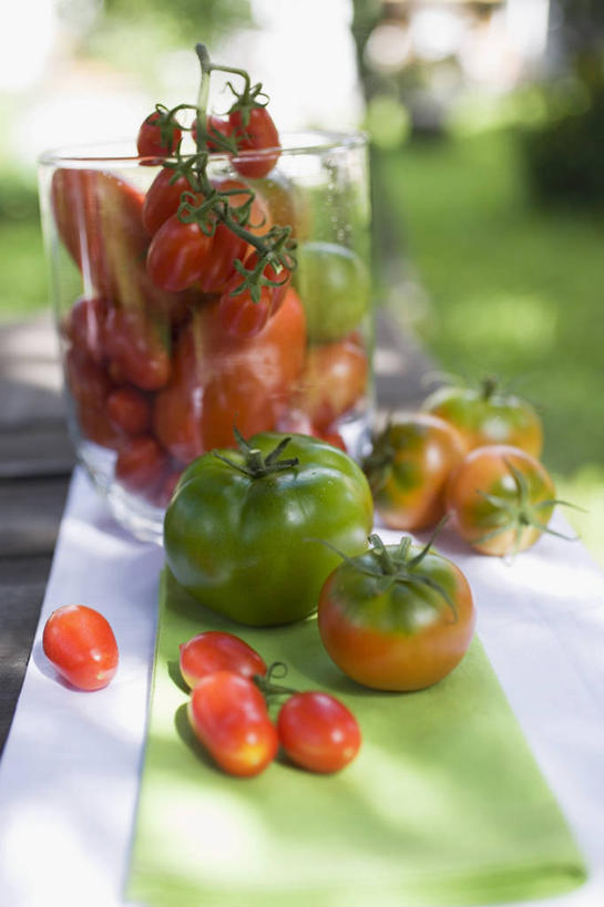 无人,竖图,室外,特写,白天,正面,仰视,草地,草坪,植物,餐桌,桌子,蔬菜,西红柿,小番茄,一堆,许多,堆叠,堆积,朦胧,模糊,新鲜,食品,很多,草,树,树木,食物,红色,绿色,自然,餐巾,有机食品,绿色食品,生长,成长,餐台,堆,小西红柿,樱桃小番茄,珍珠小番茄,保洁方巾,口布,樱桃番茄,圣女果,番茄,彩图,低角度拍摄