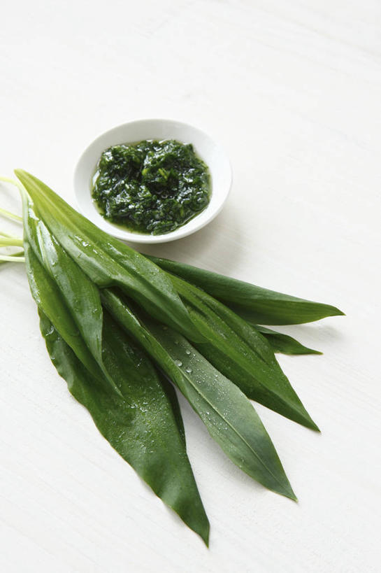 无人,竖图,俯视,室内,特写,白天,白色背景,植物,餐桌,桌子,餐具,叶子,阴影,反射,碟子,盘,纹理,影子,调料,酱料,酱汁,佐料,绿叶,调味品,调味料,酱,一个,绿色,白色,盘子,碟,香草,嫩叶,摄影,影棚,单个,餐台,肌理,芳香植物,叶,叶片,叶脉,彩图,高角度拍摄,影棚拍摄,拍摄