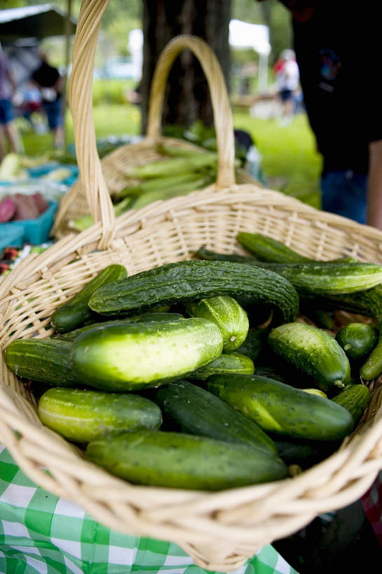 无人,菜场,交叉,竖图,俯视,室内,特写,白天,购物,消费,竹子,黄瓜,蔬菜,一堆,许多,阴影,堆叠,堆积,竹制,朦胧,模糊,新鲜,编织,反射,篮子,影子,食品,集市,市场,食物,一个,竹篮,金融,有机食品,绿色食品,单个,竹条,堆,交织,竹制品,选购,贸易,穿插,菜市,青瓜,胡瓜,彩图,高角度拍摄,菜市场
