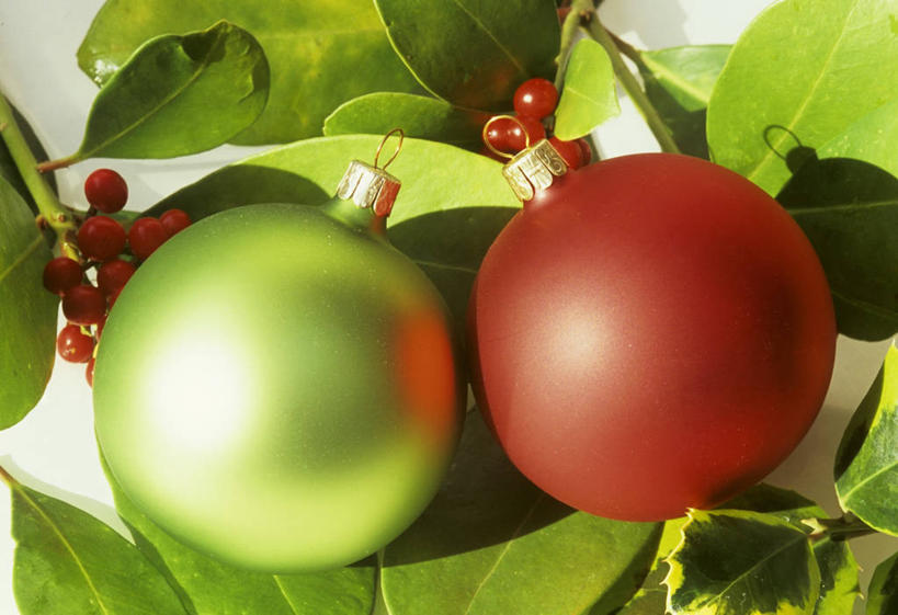 无人,横图,室内,特写,白天,正面,植物,圣诞节,阴影,节日,庆祝,装饰,反射,挂饰,影子,圣诞树,圣诞球,文化,球,树,树木,两个,红色,绿色,自然,庆典,球体,冬青,生长,成长,纪念,希望,华丽,修饰,点缀,生命,槲寄生,北寄生,桑寄生,柳寄生,黄寄生,冻青,寄生子,衬托,美观,雅致,雅观,丰饶,彩图