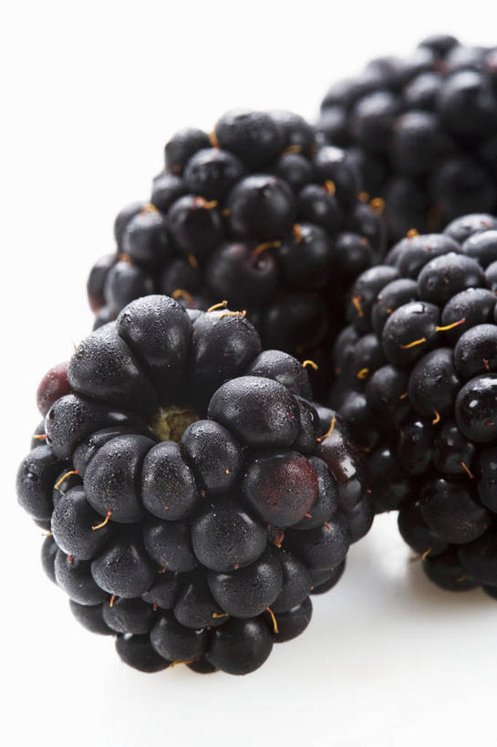 无人,竖图,俯视,室内,特写,白天,白色背景,餐桌,桌子,黑莓,水果,阴影,朦胧,模糊,新鲜,反射,影子,生食,食品,果实,食物,黑色,四个,摄影,有机食品,绿色食品,影棚,餐台,露莓,彩图,高角度拍摄,影棚拍摄,拍摄