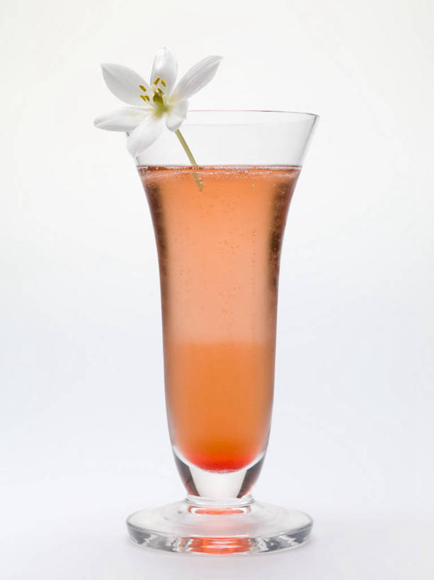 葡萄酒,无人,竖图,室内,特写,白天,白色背景,正面,奢侈,快乐,餐桌,桌子,杯子,阴影,盛开,反射,影子,浪漫,花蕾,玻璃制品,酒,花,花瓣,花朵,鲜花,饮料,一朵,一个,白色,水杯,香槟,花苞,花蕊,橙色,诱惑,摄影,影棚,单个,餐台,气泡酒,起泡酒,汽酒,玻璃杯,彩图,影棚拍摄,高兴,欢笑,拍摄