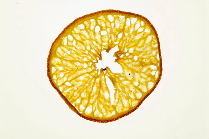 无人,横图,俯视,室内,特写,白天,白色背景,餐桌,桌子,柑橘,水果,一片,阴影,新鲜,反射,影子,生食,食品,果实,食物,摄影,有机食品,绿色食品,影棚,餐台,横截面,剖面,截面,截面图形,橘子,桔子,橙子,橙,彩图,高角度拍摄,影棚拍摄,拍摄