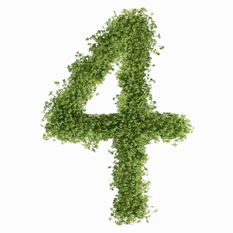 无人,方图,俯视,室内,特写,白天,白色背景,餐桌,桌子,芹菜,蔬菜,一排,许多,阴影,新鲜,整齐,反射,标志,数字,文字,影子,字符,食品,标识,食物,排列,摄影,阿拉伯数字,有机食品,绿色食品,影棚,餐台,队列,根芹菜,根洋芹,球根塘蒿,药芹,水芹,旱芹,彩图,高角度拍摄,影棚拍摄,拍摄