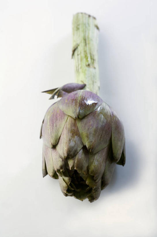 无人,竖图,俯视,室内,特写,白天,白色背景,餐桌,桌子,蔬菜,阴影,新鲜,反射,影子,朝鲜蓟,食品,食物,一个,洋蓟,摄影,有机食品,绿色食品,影棚,单个,餐台,彩图,高角度拍摄,影棚拍摄,拍摄,菜蓟,法国百合,球洋蓟,蔬菜之皇,洋百合