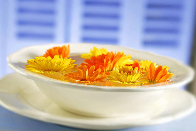 无人,横图,俯视,室内,特写,白天,爱情,水,餐桌,桌子,餐具,阴影,朦胧,模糊,盛开,反射,碟子,盘,液体,影子,陶瓷,水滴,陶瓷制品,花蕾,花,花瓣,花朵,鲜花,一个,黄色,白色,盘子,容器,碟,碗,花苞,花蕊,橙色,菊花,单个,餐台,储藏,吉祥,储存,高洁,长寿,怀恋,清净,真情,寿客,秋菊,彩图,高角度拍摄,贮存