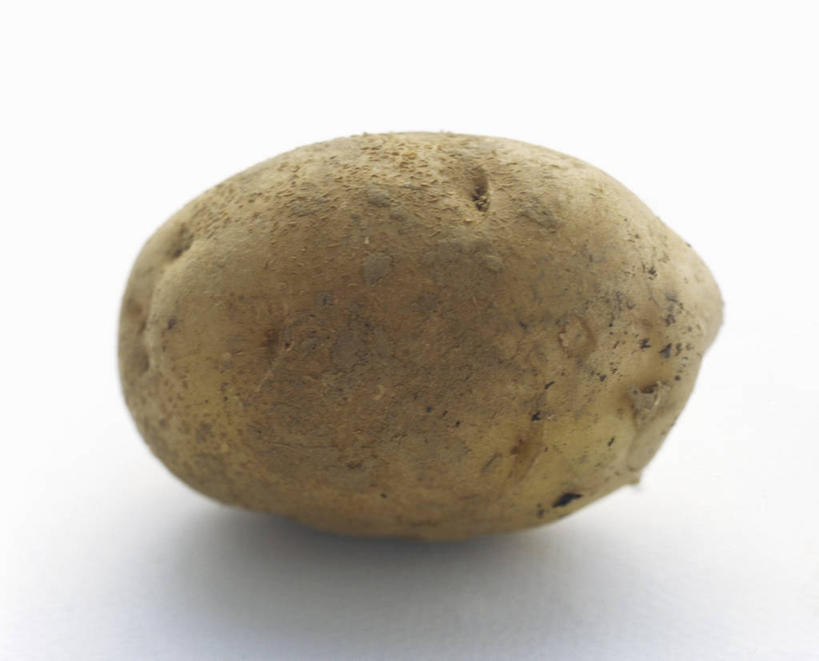 无人,横图,俯视,室内,特写,白天,白色背景,餐桌,桌子,蔬菜,土豆,阴影,新鲜,反射,影子,食品,食物,一个,黄色,摄影,有机食品,绿色食品,影棚,单个,餐台,馍馍蛋,洋芋,山药蛋,马铃薯,彩图,高角度拍摄,影棚拍摄,拍摄