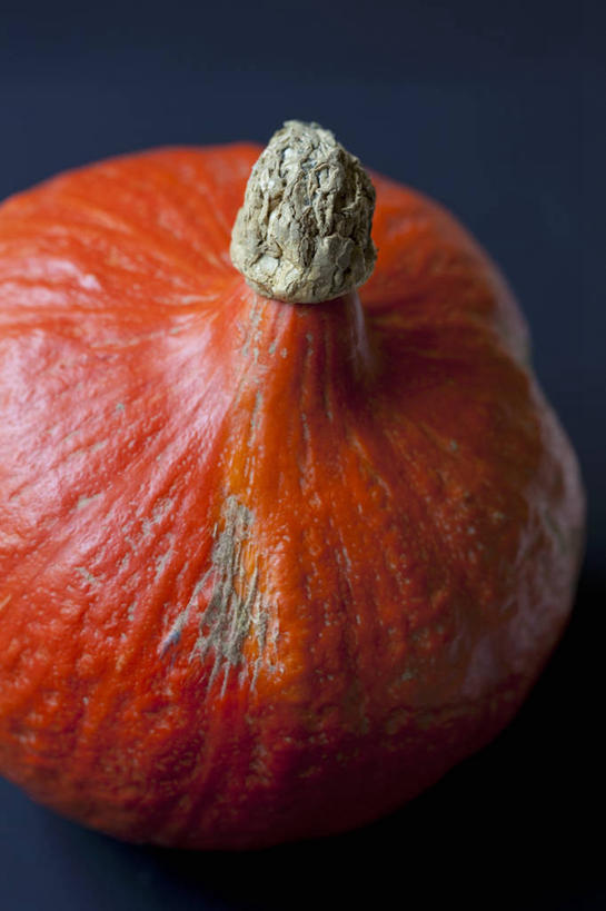 无人,竖图,俯视,室内,特写,白天,餐桌,桌子,南瓜,蔬菜,阴影,蓝色背景,新鲜,反射,影子,金瓜,食品,番瓜,食物,一个,红色,有机食品,绿色食品,单个,餐台,麦瓜,倭瓜,彩图,高角度拍摄