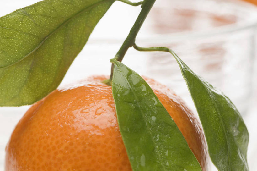 无人,横图,俯视,室内,特写,白天,水,植物,露水,餐桌,桌子,柑橘,水果,叶子,阴影,朦胧,模糊,新鲜,透明,反射,纹理,液体,影子,水滴,生食,食品,果实,绿叶,水珠,食物,一个,绿色,露珠,橙色,嫩叶,有机食品,绿色食品,单个,餐台,生机,剔透,肌理,灵动,通明,叶,叶片,叶脉,橘子,桔子,橙子,橙,彩图,高角度拍摄,晶莹