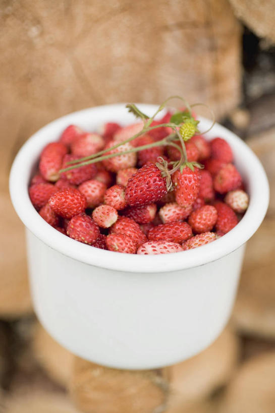 无人,竖图,俯视,室内,特写,白天,餐桌,桌子,草莓,浆果,水果,一堆,许多,阴影,堆叠,堆积,朦胧,模糊,新鲜,反射,影子,陶瓷,生食,食品,果实,陶瓷制品,食物,一个,红色,白色,容器,碗,有机食品,绿色食品,单个,餐台,储藏,堆,储存,洋莓,水果皇后,红莓,地莓,彩图,高角度拍摄,贮存