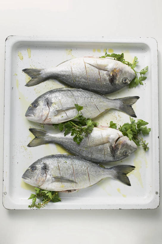 海鲜,无人,竖图,俯视,室内,特写,白天,白色背景,餐桌,桌子,餐具,阴影,反射,碟子,盘,影子,肉,鱼肉,鲷鱼,水产,肉类,海洋生物,一个,白色,盘子,碟,摄影,影棚,单个,餐台,鲷,加吉鱼,铜盆鱼,水生动物,海产品,水生物,肉食,海底动物,班加吉,加真鲷,彩图,高角度拍摄,全身,影棚拍摄,拍摄