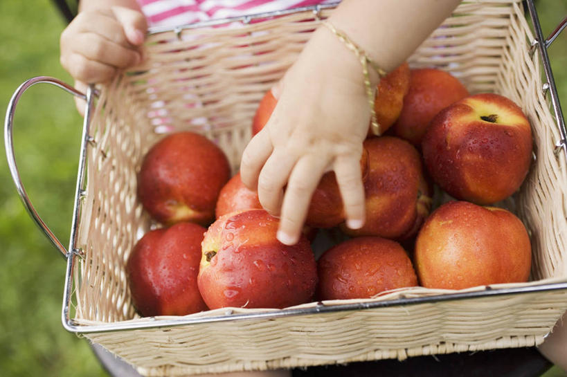 西方人,儿童,一个人,站,交叉,横图,俯视,室外,特写,白天,纯洁,草地,草坪,植物,竹子,桃子,水果,欧洲,欧洲人,仅一个女性,仅一个人,一堆,许多,握,堆叠,堆积,竹制,服装,朦胧,模糊,新鲜,编织,篮子,生食,食品,果实,油桃,拿,拿着,休闲装,装饰品,草,食物,小孩,衣服,绿色,饰品,手链,首饰,竹篮,站着,仅一个小孩,休闲,休闲服,可爱,童年,童趣,握着,服饰,手镯,有机食品,绿色食品,竹条,堆,交织,竹制品,镯子,童真,烂漫,无邪,肺果,穿插,李光桃,天真,女孩,女人,女性,白种人,孩子,站立,半身,彩图,高角度拍摄,女生