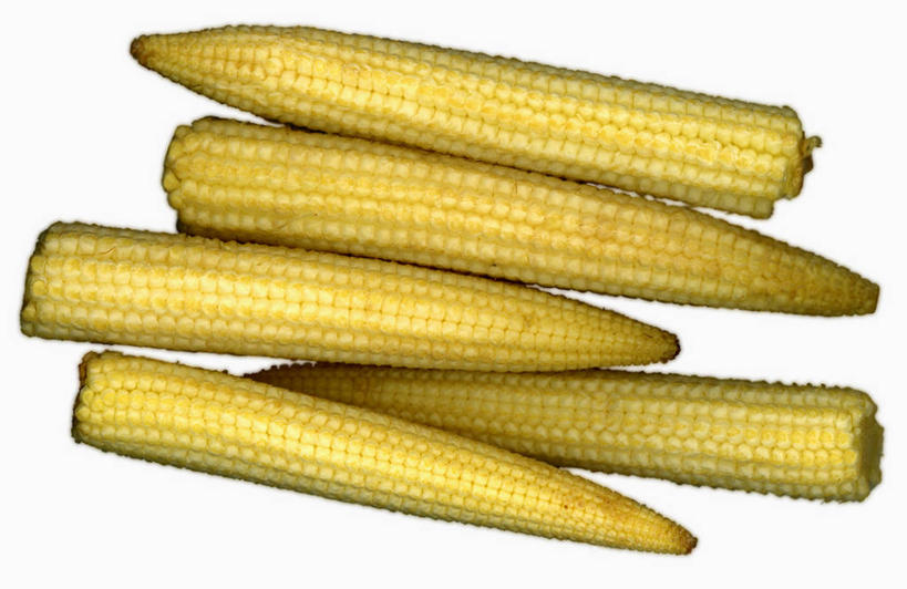 无人,横图,俯视,室内,特写,白天,白色背景,玉米,桌面,桌子,蔬菜,一堆,许多,阴影,堆叠,堆积,新鲜,反射,木制,棒子,影子,玉蜀黍,食品,食物,黄色,木制品,摄影,有机食品,绿色食品,影棚,堆,苞米,苞芦,苞谷,包谷,大蜀黍,番麦,薏米包,玉高粱,玉麦,珍珠米,彩图,高角度拍摄,影棚拍摄,拍摄