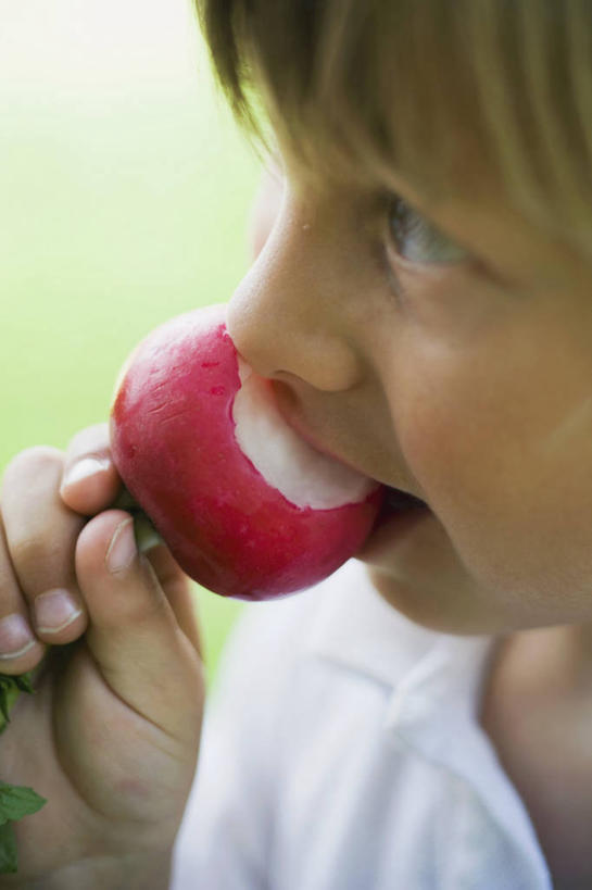 西方人,儿童,脸,头,脸颊,手,一个人,站,吃,竖图,俯视,室外,特写,白天,纯洁,草地,草坪,植物,萝卜,蔬菜,欧洲,欧洲人,仅一个男性,仅一个人,握,服装,朦胧,模糊,新鲜,食品,拿,拿着,注视,休闲装,肩膀,草,食物,小孩,衣服,绿色,观察,看,站着,仅一个小孩,休闲,手部,休闲服,可爱,童年,童趣,握着,服饰,有机食品,绿色食品,观看,单手,察看,关注,童真,烂漫,无邪,大红萝卜,东北红萝卜,天真,男孩,男人,男性,白种人,孩子,头部,脸部,脸蛋,面部,莱菔,红萝卜,嚼,食,站立,半身,彩图,高角度拍摄,男生